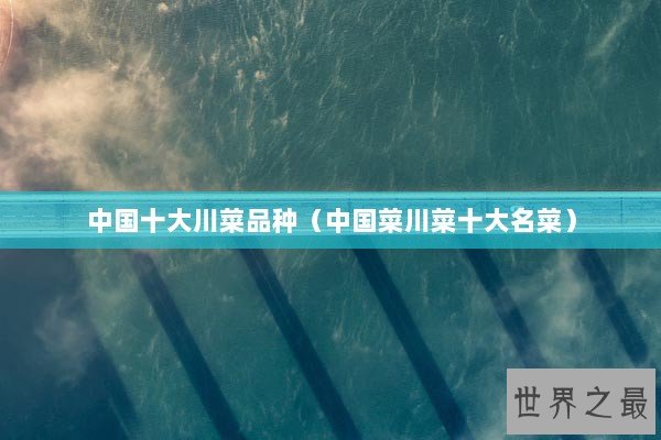 中国十大川菜品种（中国菜川菜十大名菜）