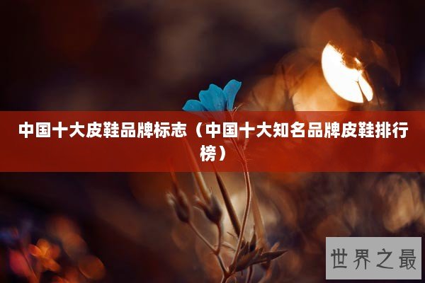 中国十大皮鞋品牌标志（中国十大知名品牌皮鞋排行榜）
