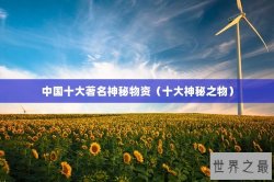 中国十大著名神秘物资（十大神秘之物）
