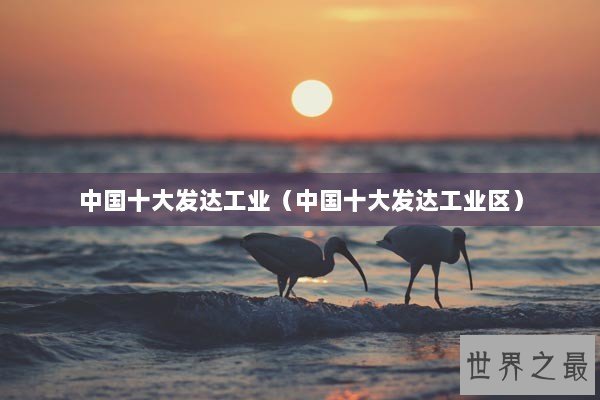 中国十大发达工业（中国十大发达工业区）