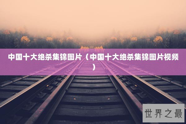 中国十大绝杀集锦图片（中国十大绝杀集锦图片视频）