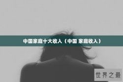 中国家庭十大收入（中国 家庭收入）