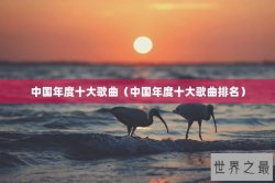 中国年度十大歌曲（中国年度十大歌曲排名）