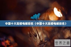 中国十大高楼电梯排名（中国十大高楼电梯排名）