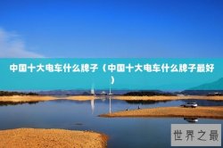 中国十大电车什么牌子（中国十大电车什么牌子最好）
