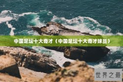中国足坛十大奇才（中国足坛十大奇才球员）