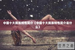 中国十大民族特性简介（中国十大民族特性简介是什么）