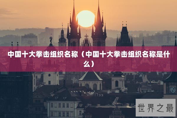 中国十大拳击组织名称（中国十大拳击组织名称是什么）