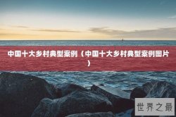 中国十大乡村典型案例（中国十大乡村典型案例图片）