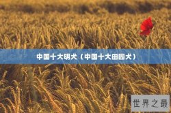 中国十大明犬（中国十大田园犬）