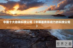 中国十大隐藏科技公司（中国最有影响力的科技公司）
