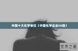 中国十大化学单位（中国化学企业50强）