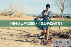 中国十大上千亿项目（中国上千亿的项目）