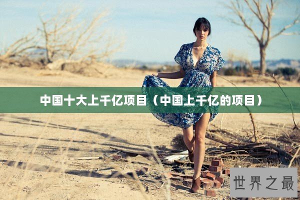 中国十大上千亿项目（中国上千亿的项目）