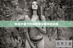 包含中国十大深度学习框架的词条