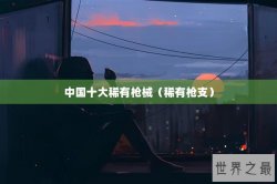 中国十大稀有枪械（稀有枪支）