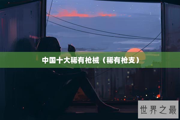 中国十大稀有枪械（稀有枪支）