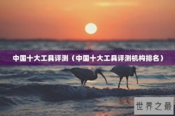 中国十大工具评测（中国十大工具评测机构排名）