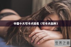 中国十大可卡犬排名（可卡犬品种）