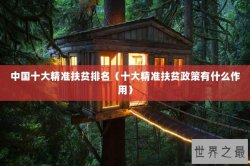 中国十大精准扶贫排名（十大精准扶贫政策有什么作用）