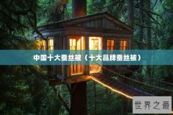 中国十大蚕丝被（十大品牌蚕丝被）