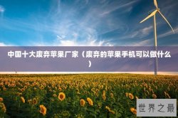 中国十大废弃苹果厂家（废弃的苹果手机可以做什么）