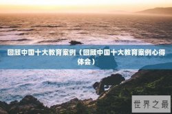 回顾中国十大教育案例（回顾中国十大教育案例心得体会）
