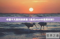 中国十大黑科技表演（盘点2020中国黑科技）