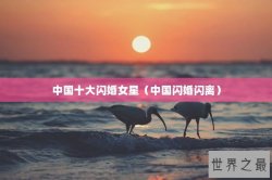 中国十大闪婚女星（中国闪婚闪离）