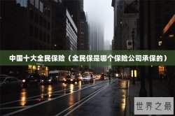 中国十大全民保险（全民保是哪个保险公司承保的）