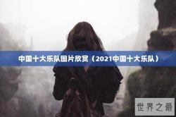 中国十大乐队图片欣赏（2021中国十大乐队）