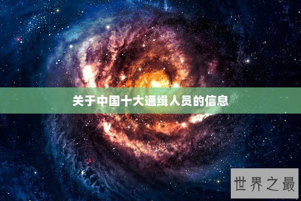 关于中国十大通缉人员的信息