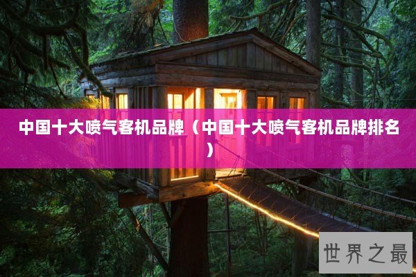 中国十大喷气客机品牌（中国十大喷气客机品牌排名）