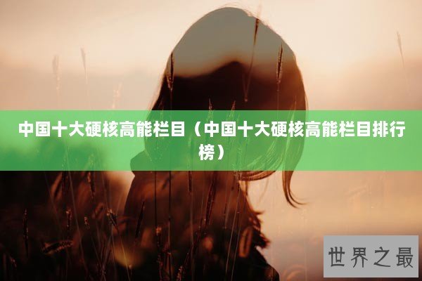 中国十大硬核高能栏目（中国十大硬核高能栏目排行榜）