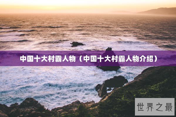 中国十大村霸人物（中国十大村霸人物介绍）