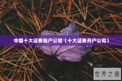 中国十大证券账户公司（十大证券开户公司）