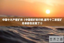 中国十大产煤矿井（中国煤矿排行榜,最牛十二家煤矿名单都在这里了!）