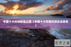 中国十大科技创业公司（中国十大创新科技企业排名）