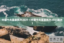 中国十大富豪照片2021（中国十大富豪照片2021图片）