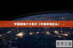 中国核电十大名片（中国核电巨头）
