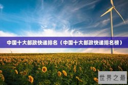 中国十大邮政快递排名（中国十大邮政快递排名榜）