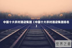 中国十大农村酒店集团（中国十大农村酒店集团排名）