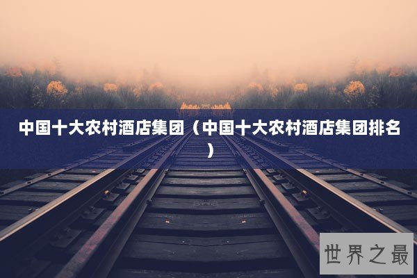中国十大农村酒店集团（中国十大农村酒店集团排名）