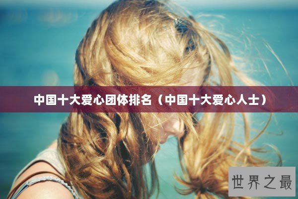 中国十大爱心团体排名（中国十大爱心人士）