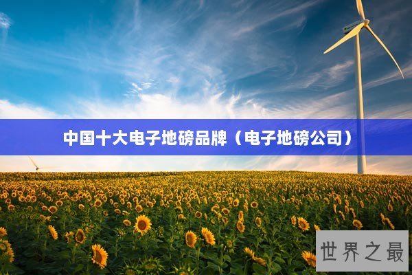 中国十大电子地磅品牌（电子地磅公司）