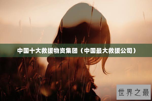 中国十大救援物资集团（中国最大救援公司）