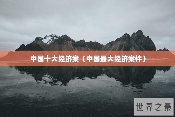 中国十大经济案（中国最大经济案件）