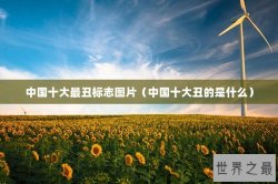 中国十大最丑标志图片（中国十大丑的是什么）
