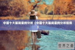 中国十大骗局案例分析（中国十大骗局案例分析视频）