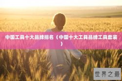 中国工具十大品牌排名（中国十大工具品牌工具套装）